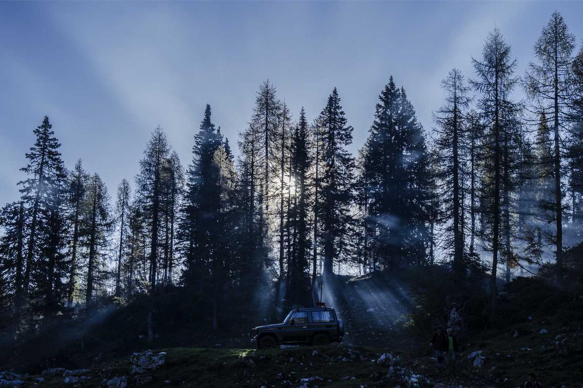 Repellat quas est modi